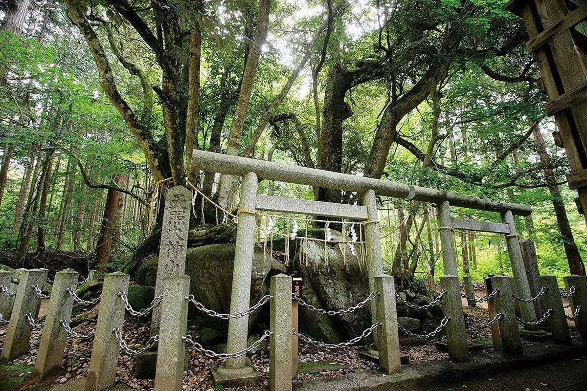 元伊勢 籠神社の写真 3