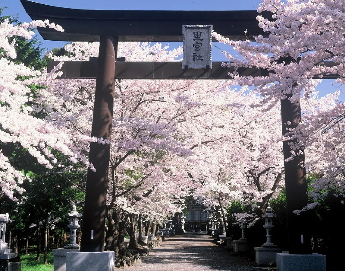 富士御室浅間神社の写真