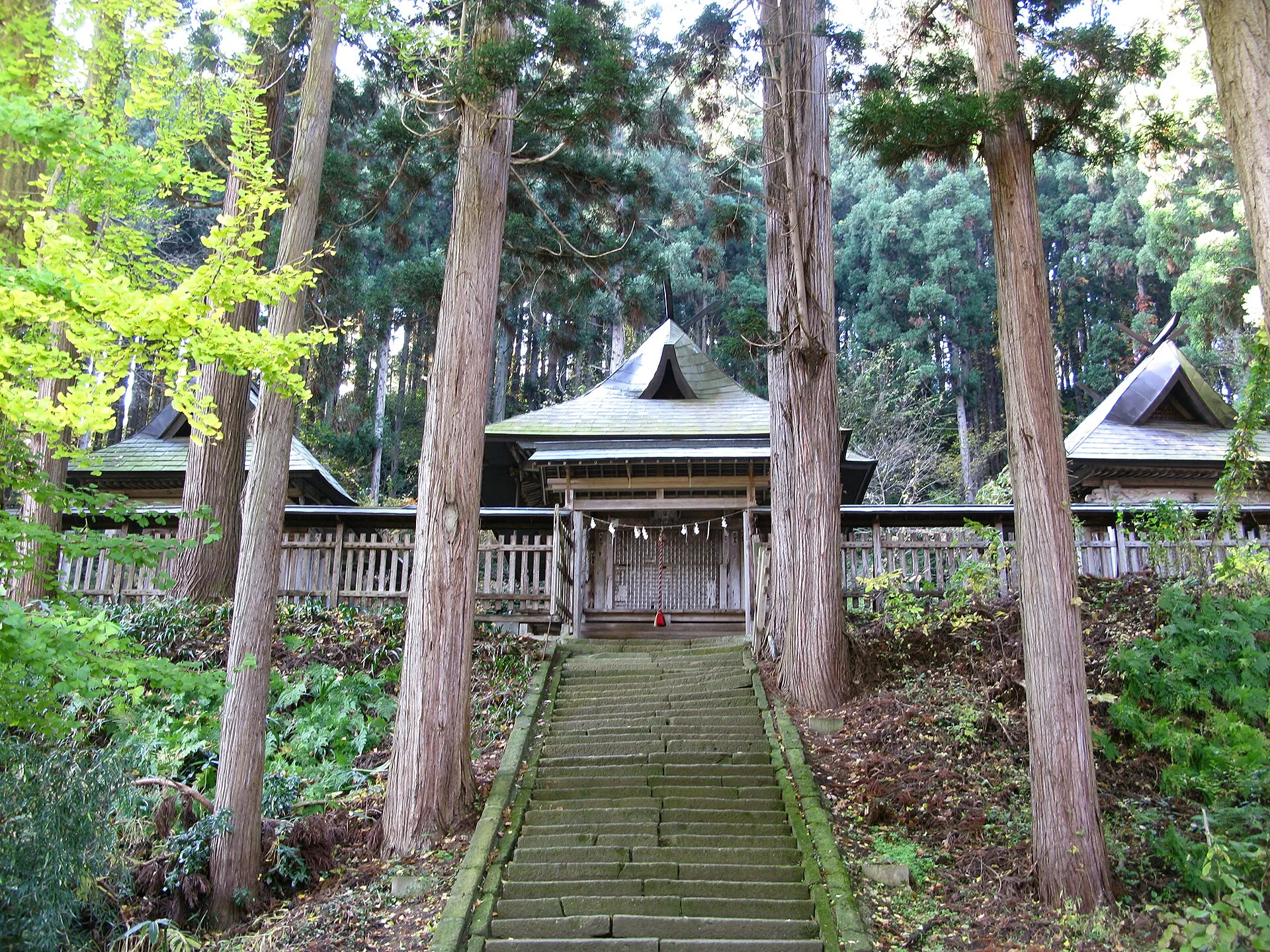 新宮熊野神社の写真 2
